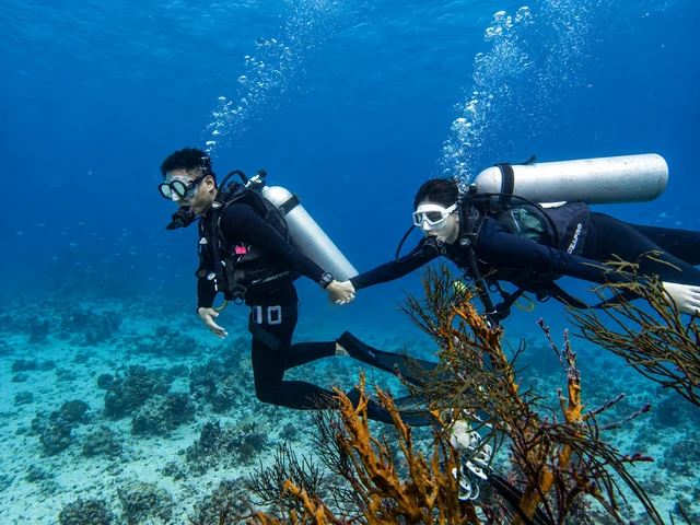 Mauric and Nadya holding hands underwater with coral in the foreground